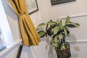 Photo 19- click for photo gallery